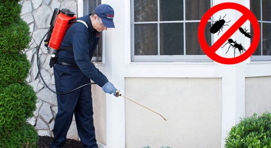 Bafra Gümüşkurt İlaçlama böcek ilaçlama ve haşere kontrolü — ilaclama-tr.com